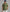 Polo Ralph Lauren Big & Tall Linen Shirt (Garden Trail)