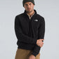 The North Face Evolution Simple Dome Quarter-Zip Sweatshirt (Black)