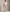 Polo Ralph Lauren mesh polo (Pink)