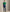 Polo Ralph Lauren Classic Fit Crew Neck T-Shirt — image 2